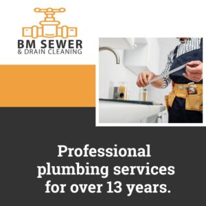 Read more about the article Need plumbing services?