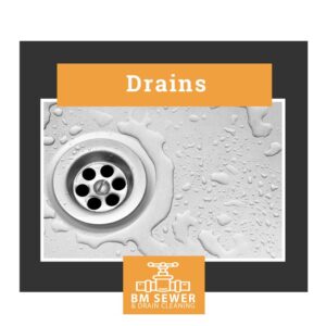 Read more about the article Clogged Drains are a Pain