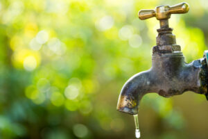 Read more about the article Turn Off Your Outdoor Faucets