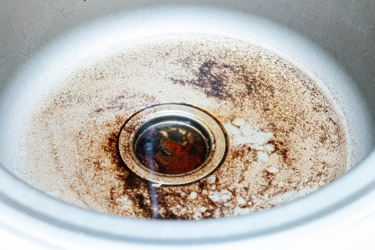 Read more about the article Clean your drain stoppers regularly