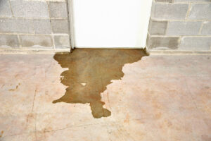 Read more about the article What to do if your basement floods