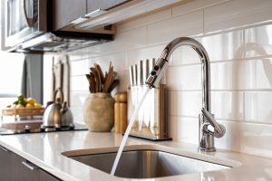 Read more about the article Taking Care of Your Garbage Disposal